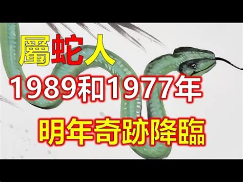 1989年屬|【1989 屬】1989屬蛇終極指南：壽命揭秘、最佳配對、轉運秘訣。